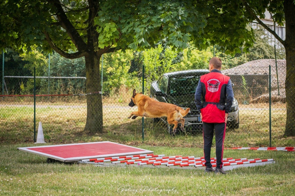 Powaqa Des Guerriers Pacifiques